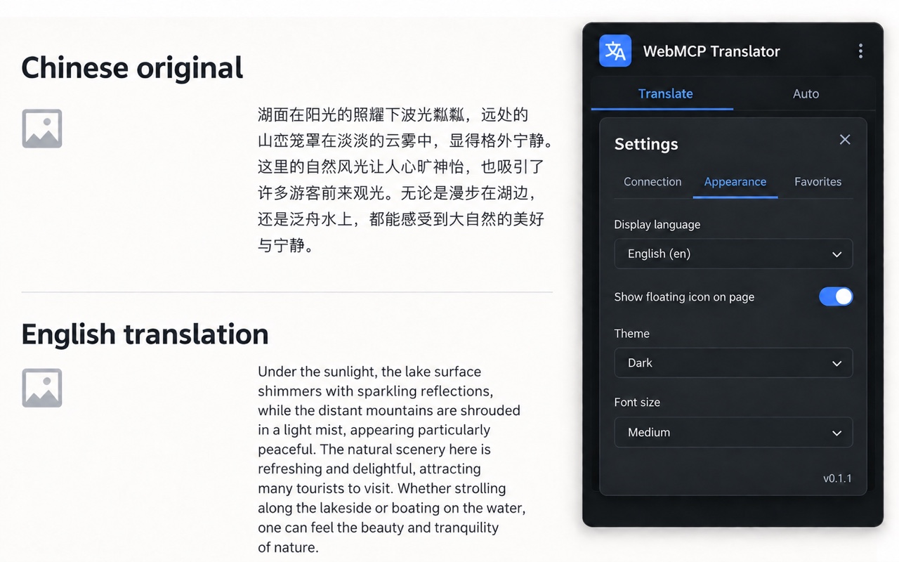 Illustrative appearance settings for the WebMCP Translator extension